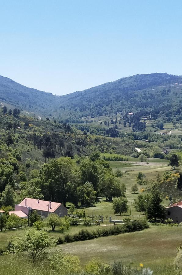 Turismo Rural Macieira Brava غوآردا المظهر الخارجي الصورة