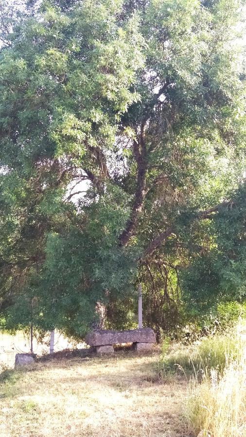 Turismo Rural Macieira Brava غوآردا المظهر الخارجي الصورة