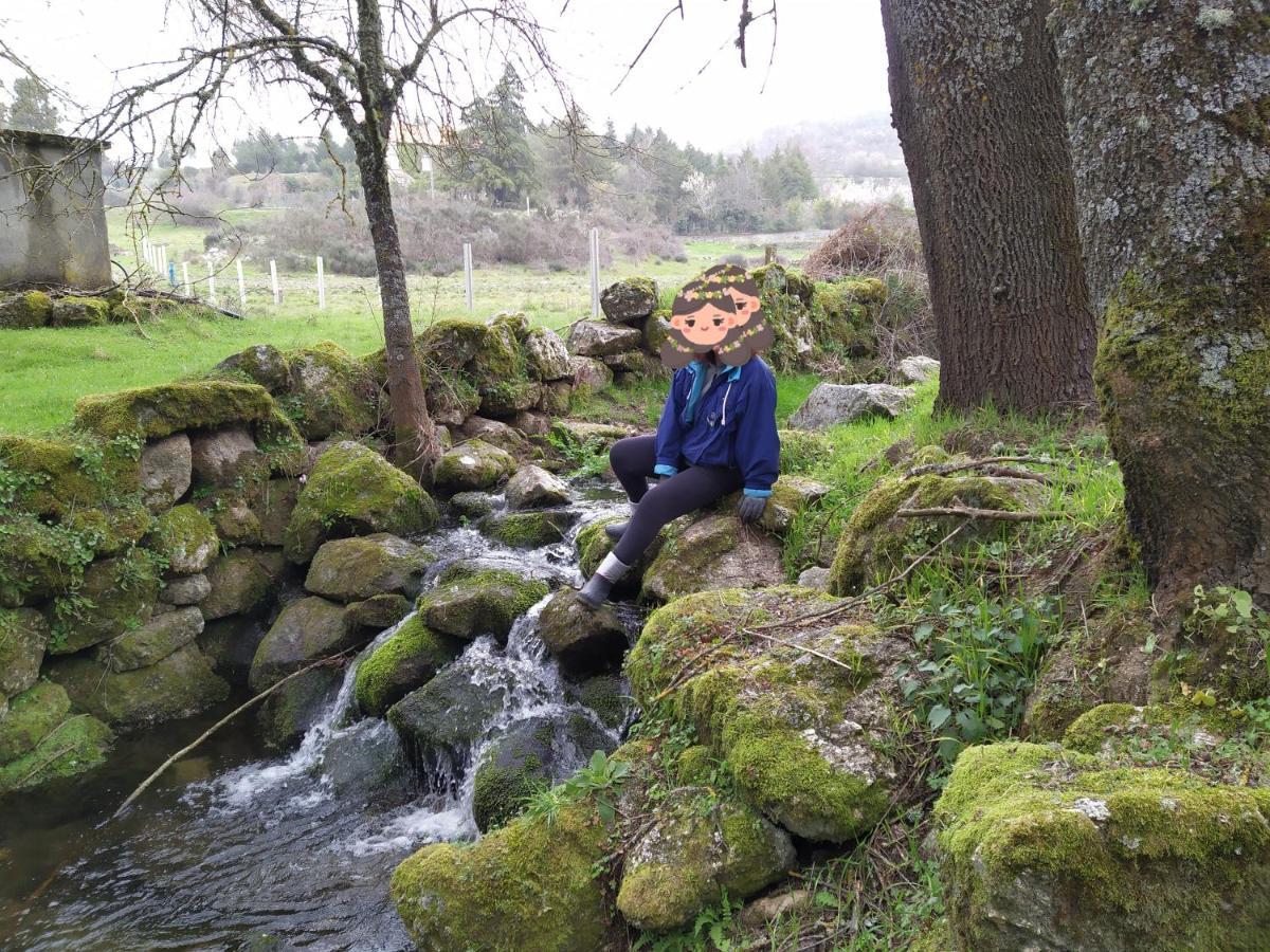 Turismo Rural Macieira Brava غوآردا المظهر الخارجي الصورة