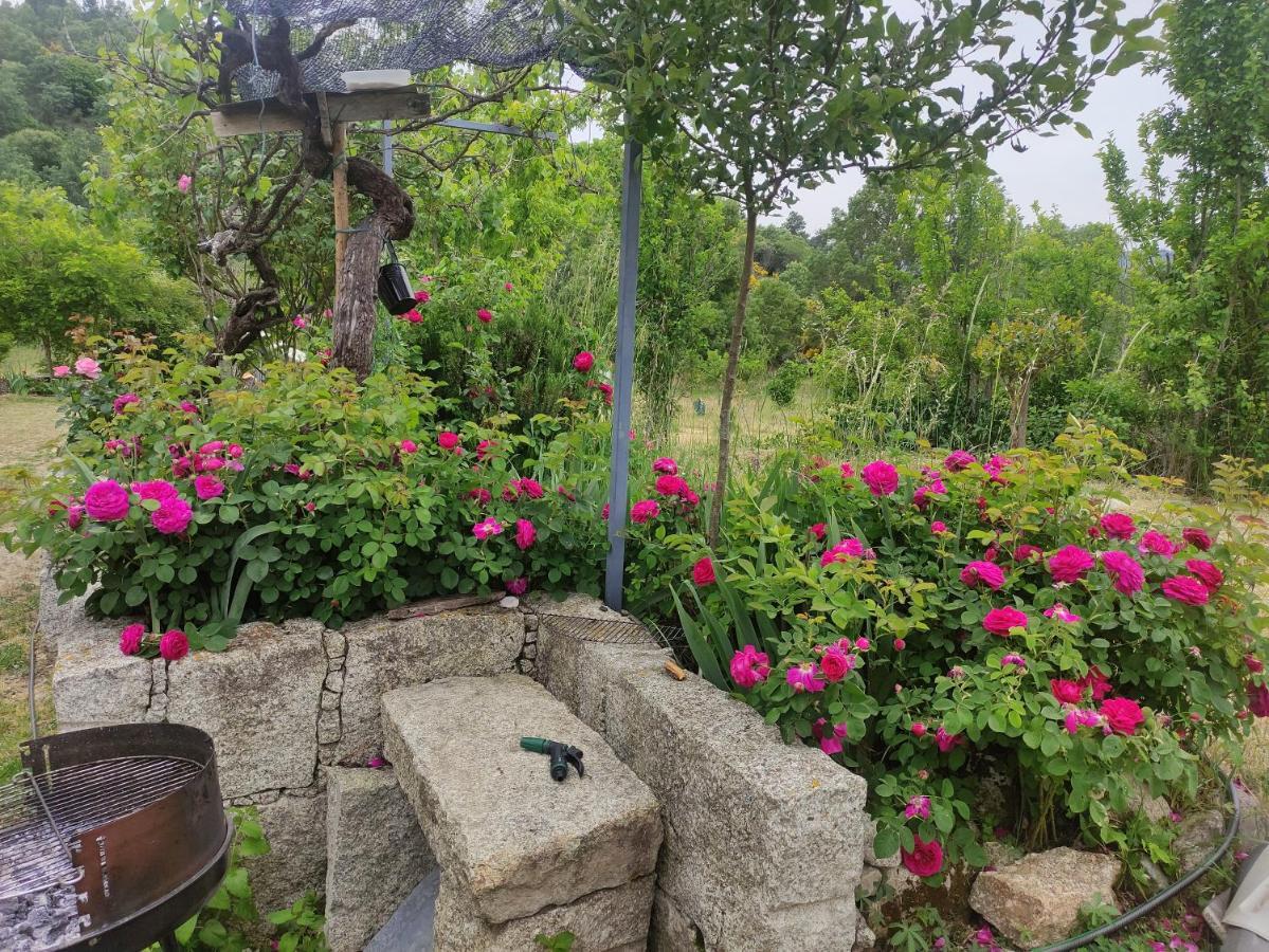 Turismo Rural Macieira Brava غوآردا المظهر الخارجي الصورة