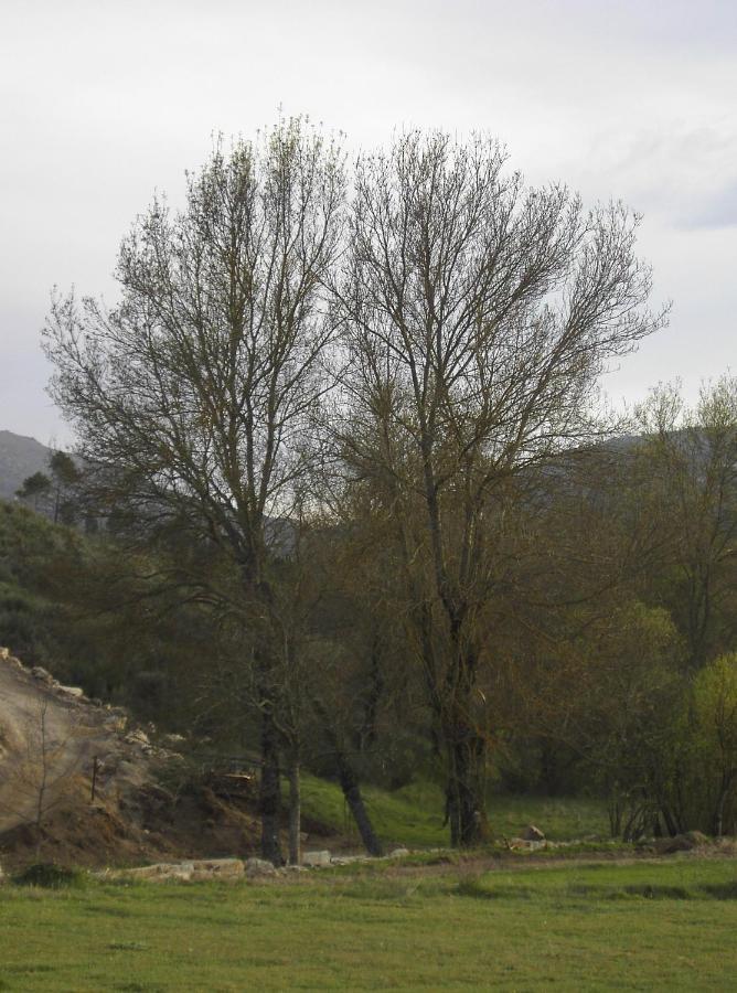 Turismo Rural Macieira Brava غوآردا المظهر الخارجي الصورة